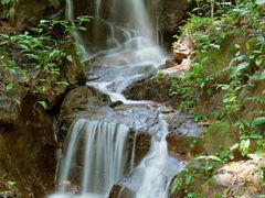 -莫里热带雨林景区