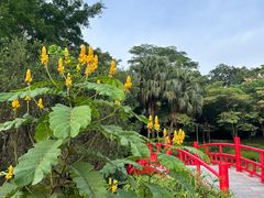 -东莞植物园
