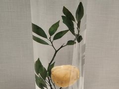 -广东中医药博物馆