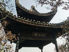 景点-大阳山国家森林公园