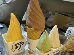 -野人先生现做冰淇淋(北京环宇荟店)