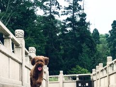 -径山寺