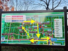 -黄海国家森林公园