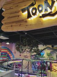 -卡通尼·Safari非洲探索乐园·生日会(金桥国际商业广场店)