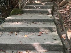 -火炉山森林公园