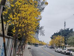 -广州都市观光巴士(粤陶巴)