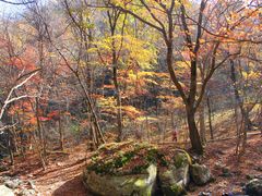 -本溪老边沟风景区