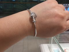 -Pandora潘多拉珠宝(宝山万达广场店)