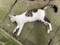 -宁波市保国寺古建筑博物馆