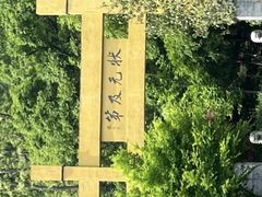 -南京老山国家森林公园