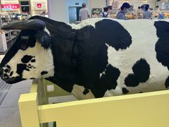 -红星前进面包牛奶公司(君太店)