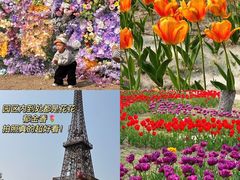 -祥源·阜阳生态乐园