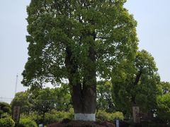 -韩湘水博园