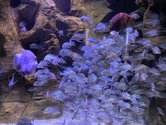 -成都浩海立方海洋公园