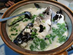 姜君千岛湖鱼头-姜君·千岛湖鱼头馆(浦东大道店)