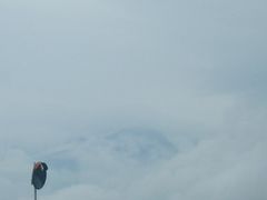 -凤来栖·净庭院·火锅(欧尚店)