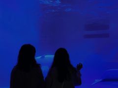 -海合安成都极地海洋公园
