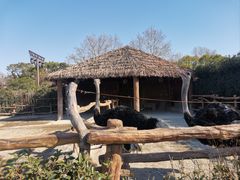 -上海野生动物园