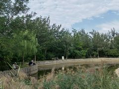 -绿岛公园(滨海新区)