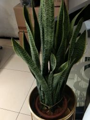 -LJOY丽锦造型·烫发染发