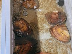 -十八字金·银饰·拼豆·开蚌DIY(魏公芳华里店)