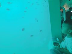 -亚龙湾海底世界