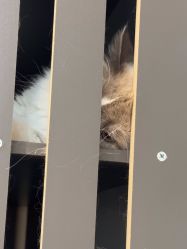 -花系美·美甲美睫精品店