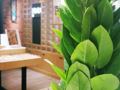 -A380视光·蔡司眼镜店(锦艺城店)