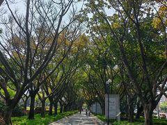 -厦门白鹭洲公园