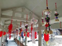 -九龙江国家森林公园