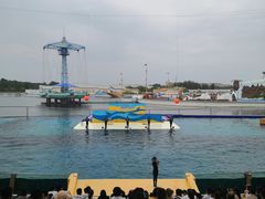 -秦皇岛乐岛海洋王国