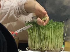 -好彩猪肚鸡(正弘城店)