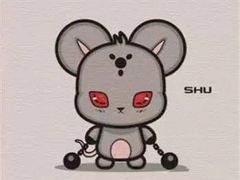 -野狸岛