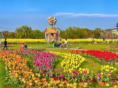 -苏州太湖西山岛开心农场