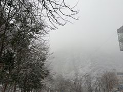 -抱龙峪