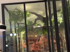 -院里寻菜·精致庭院菜(观沙岭店)