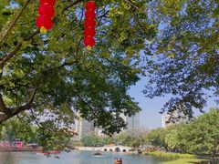 -荔湾湖公园