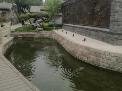 -春风习习