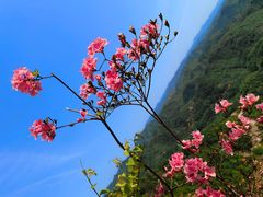 -十九峰景区-倒脱靴