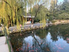 -苏堤停车场
