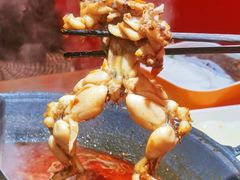 -老天桥蛙炉火锅(红峰东路店)