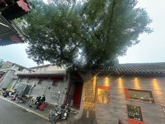 -毛辣果·贵州红酸汤牛肉火锅(西单店)