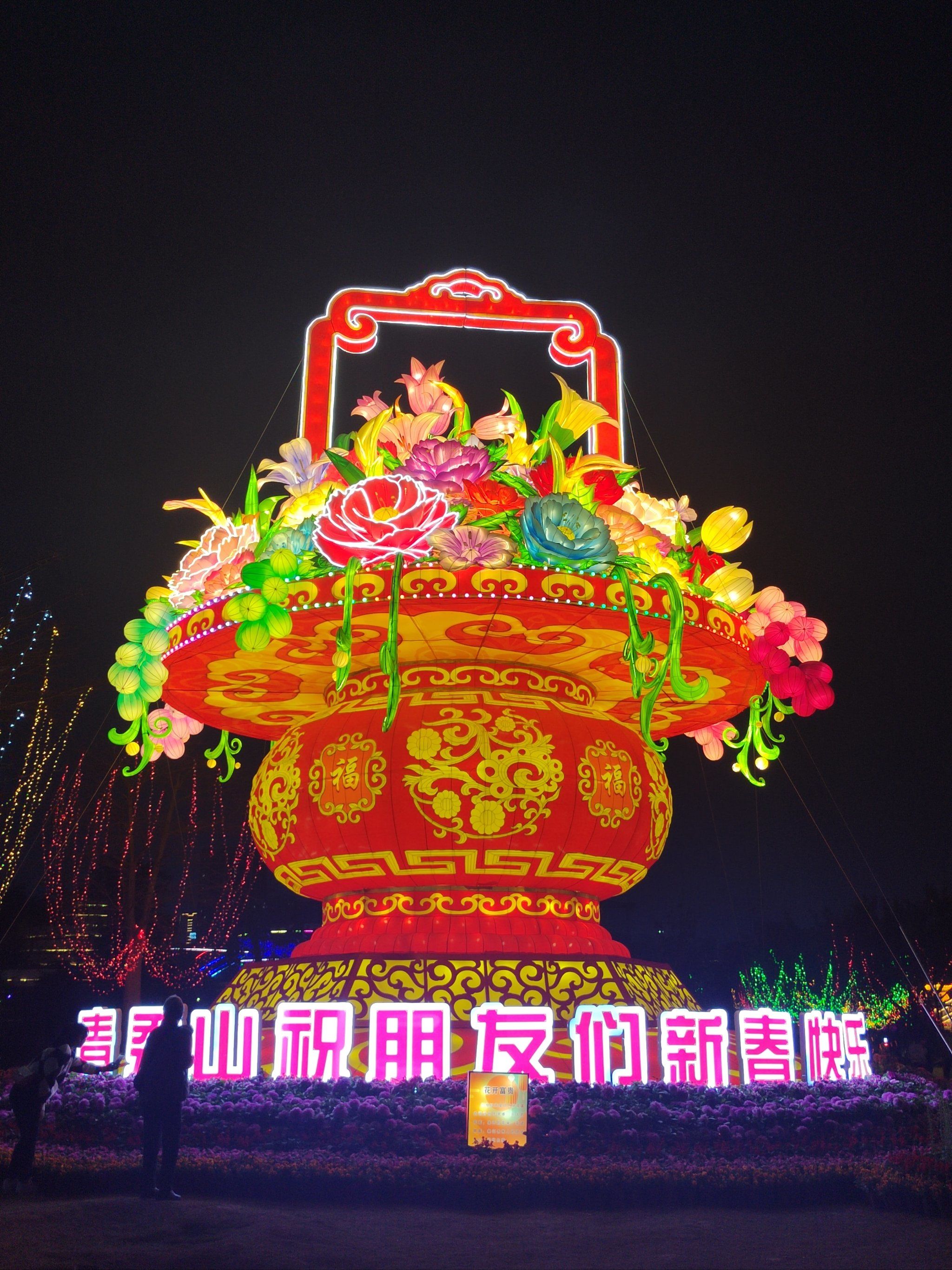 青秀山新春灯展