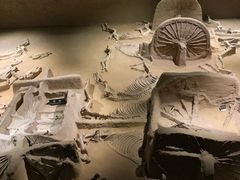 -洛阳周王城天子驾六博物馆