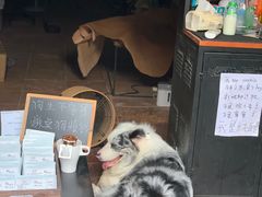 -小洲村