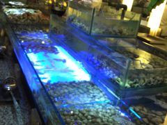 -常州环球恐龙城维景国际大酒店