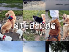 -洱海月湿地公园