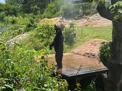 -海南热带野生动植物园