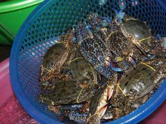 -幸福姐海鲜大排档