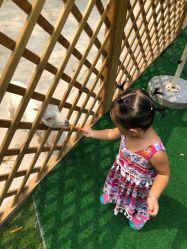 -萌宠亲子动物乐园(槐房万达店)